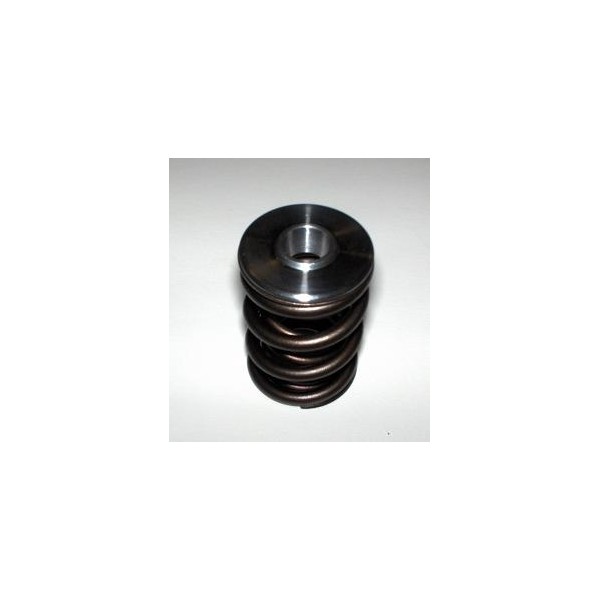 ppf valve spring and retainer kit